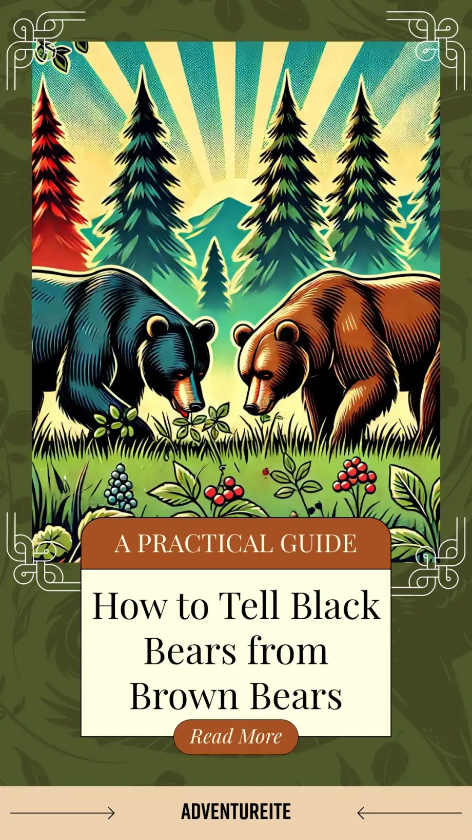 A black and brown bear in a forest clearing