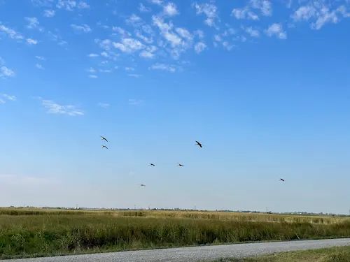 Bitter Lake National Wildlife Refuge